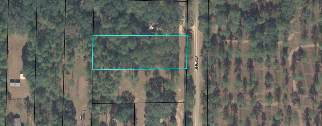 7203 Hardup Road - Photo 1