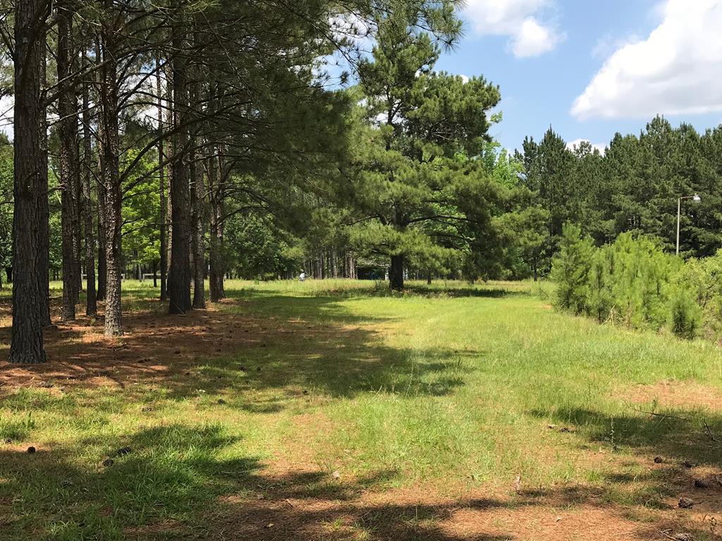 292 Childers Road - Photo 1