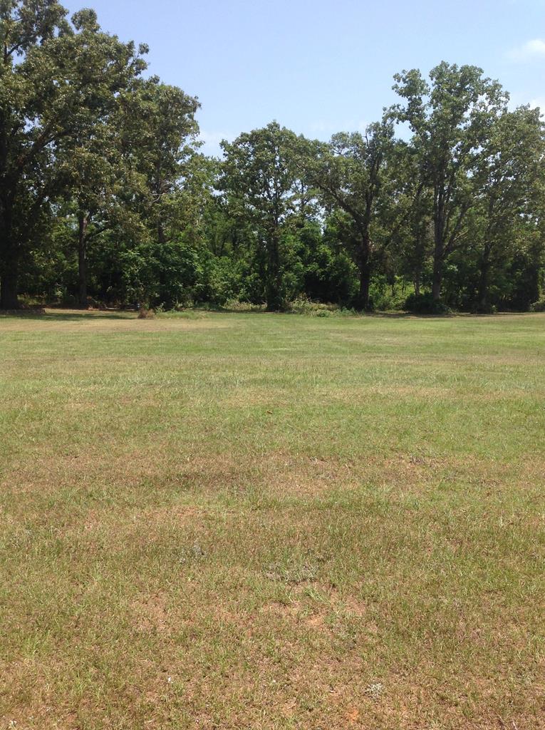 Lot 39 Grand Island Drive - Photo 1
