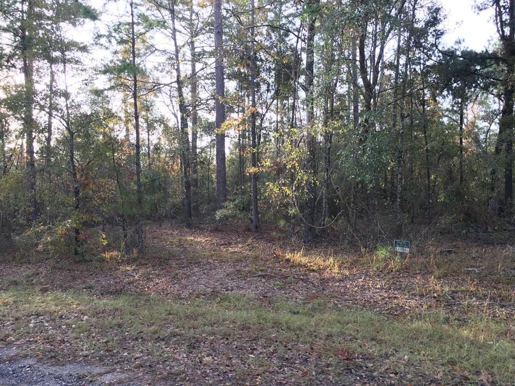 000 Quail Ridge Lane - Photo 1