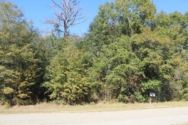 000 Morey Hill Rd - Photo 1