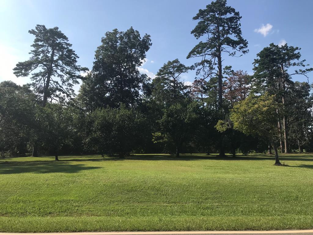 Lot 22 Oakland Rd - Photo 1