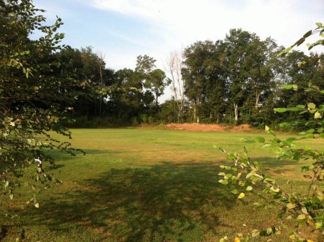 201 Cedric Street - Photo 1