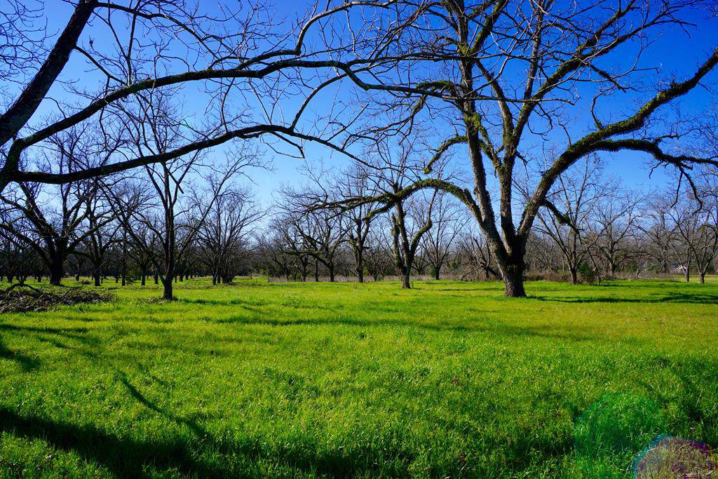 6111 Hardup Road - Photo 1 6111 Hardup Road - Photo 1