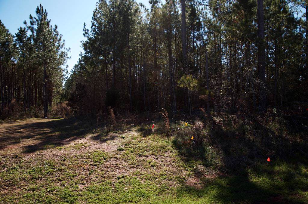 118 Oakland Pkwy Rd - Photo 1