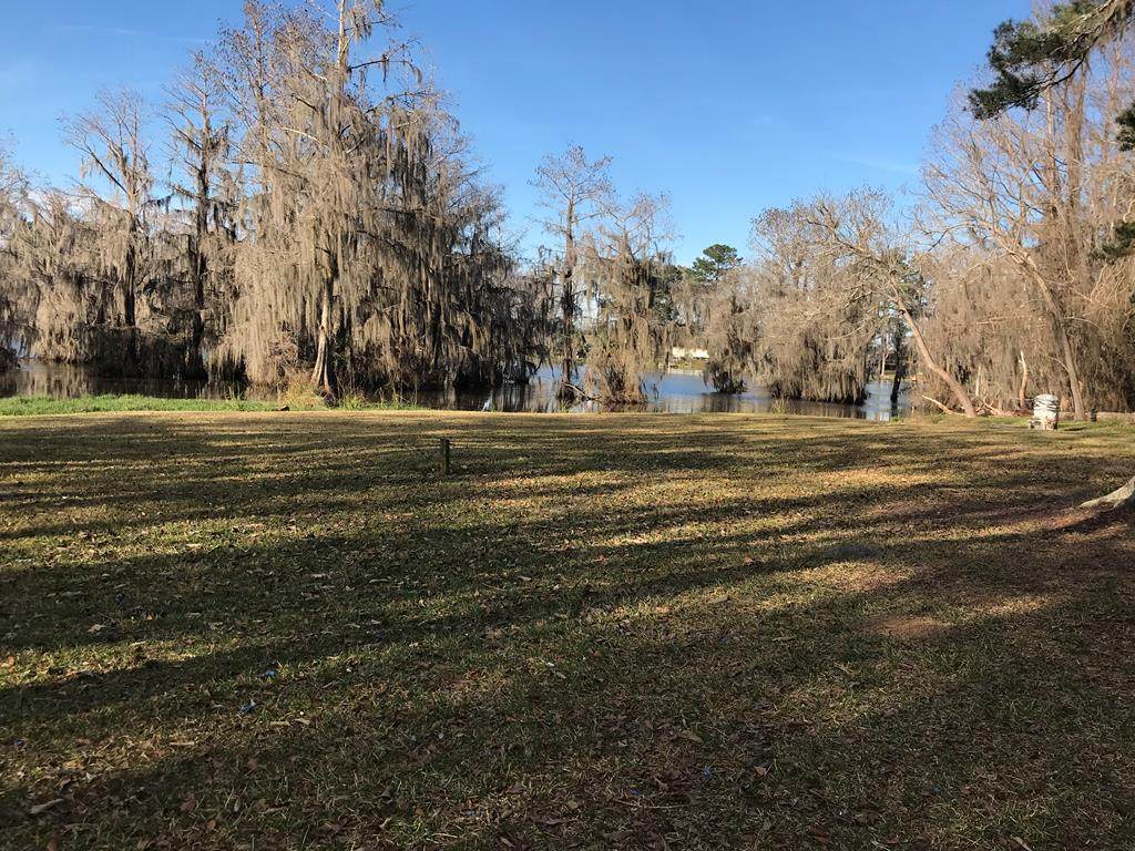 305 Mill Branch Road - Photo 1