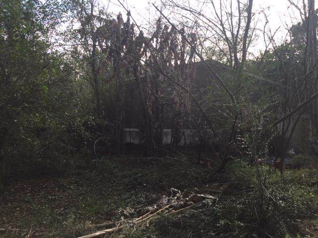 3418 New Hope Road - Photo 1