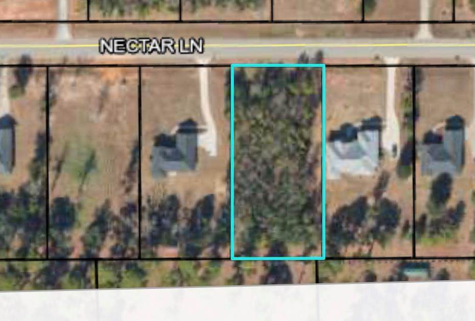 529 Nectar Lane - Photo 1