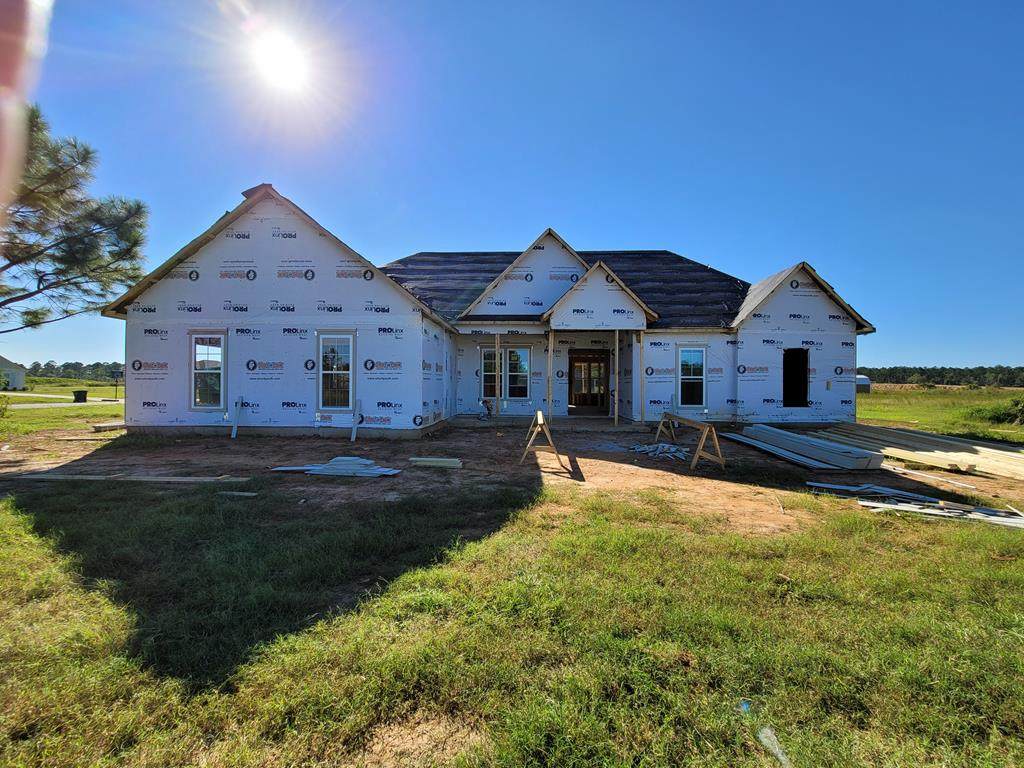158 Live Oak Drive - Photo 1