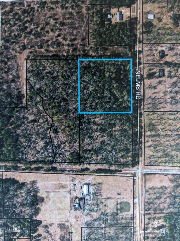 Lot 101 Nelms Road - Photo 1