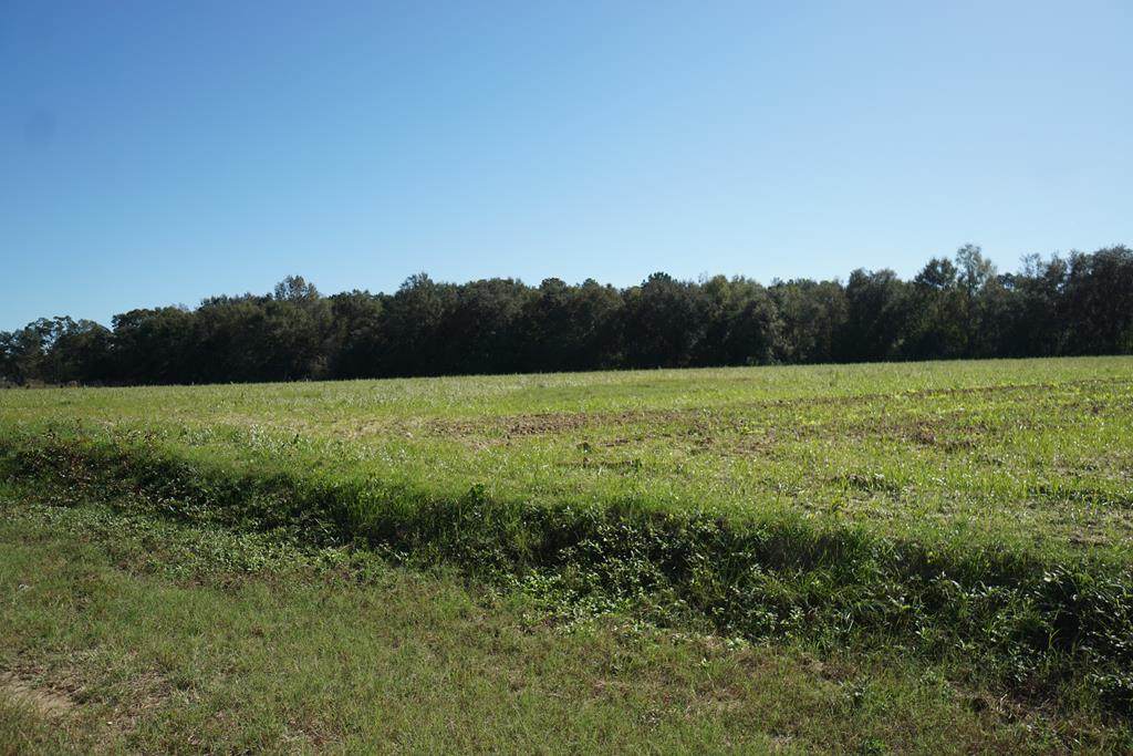 0 Hill Road - Photo 1