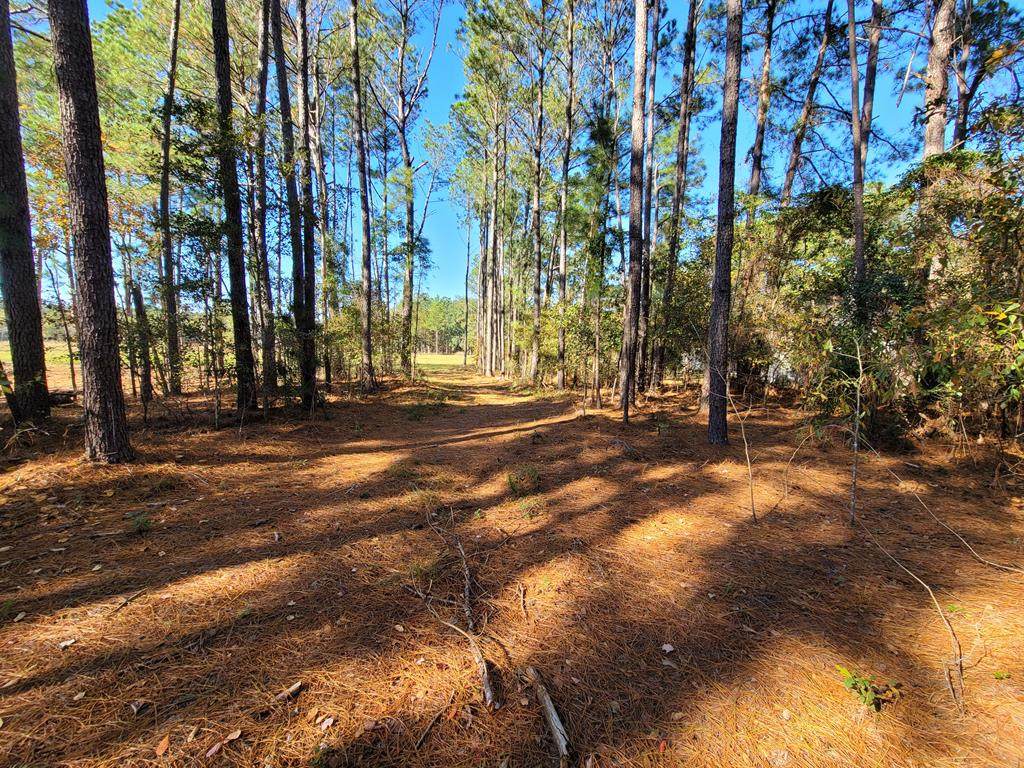 684 Philema Road S - Photo 1