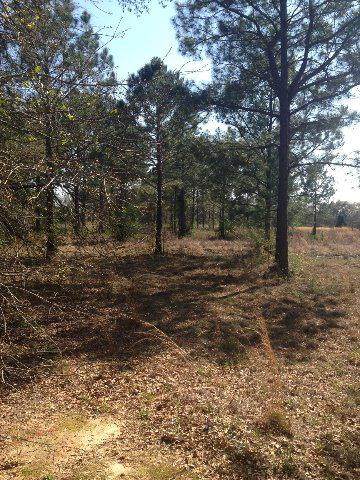 278 Garrett Road - Photo 1