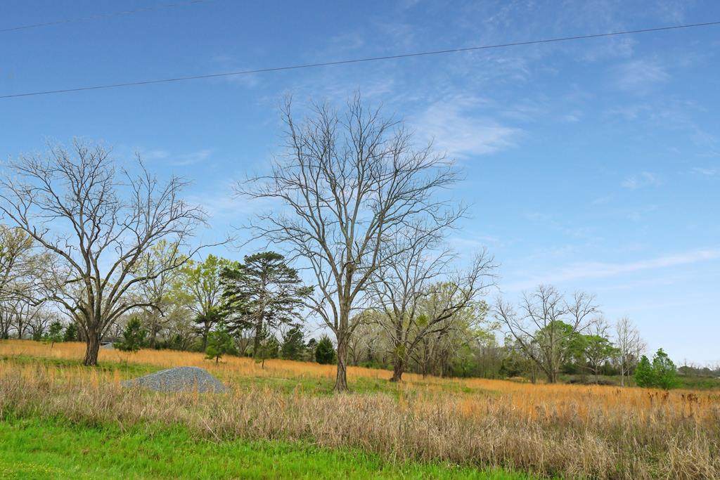 120 Livingston Road - Photo 1