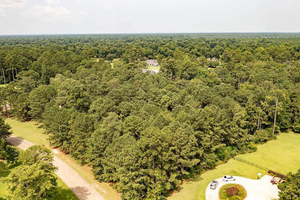 Lot 62 Longleaf Drive - Photo 1