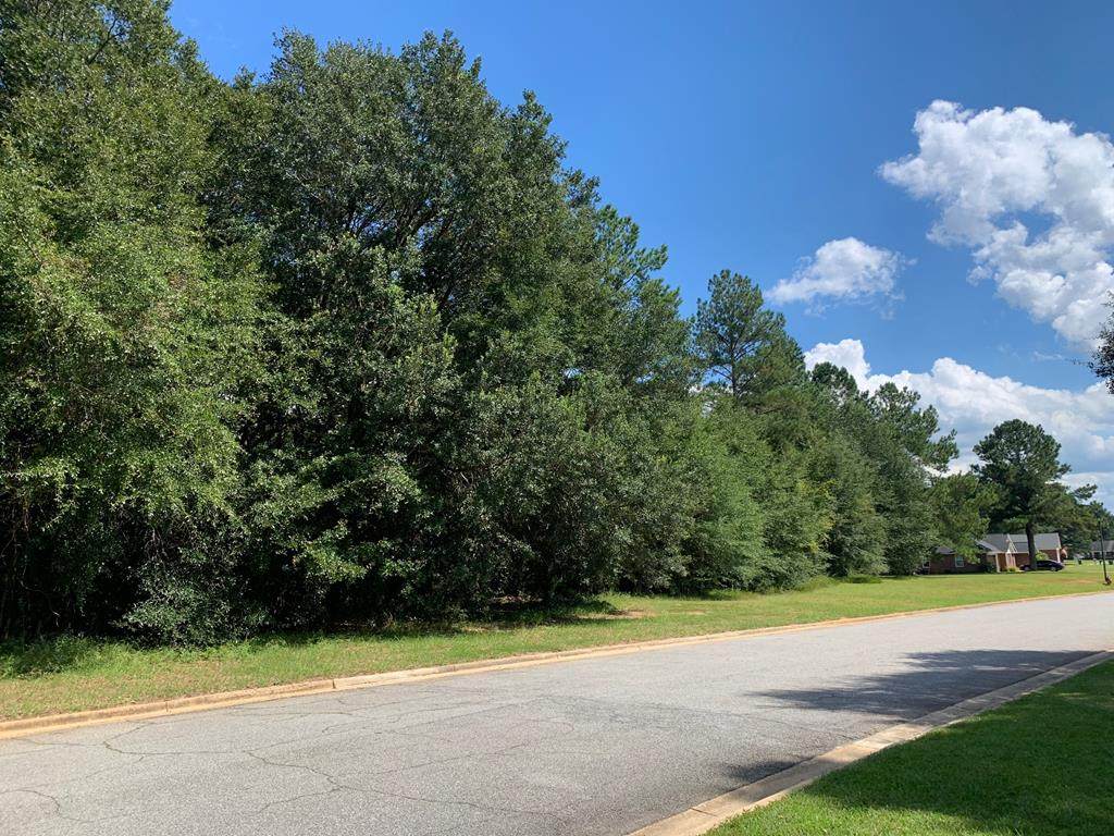 Tract #2 Philema Road - Photo 1