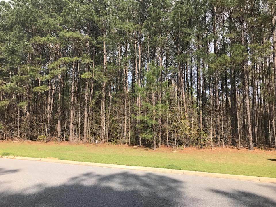 1808 River Pointe Drive - Photo 1