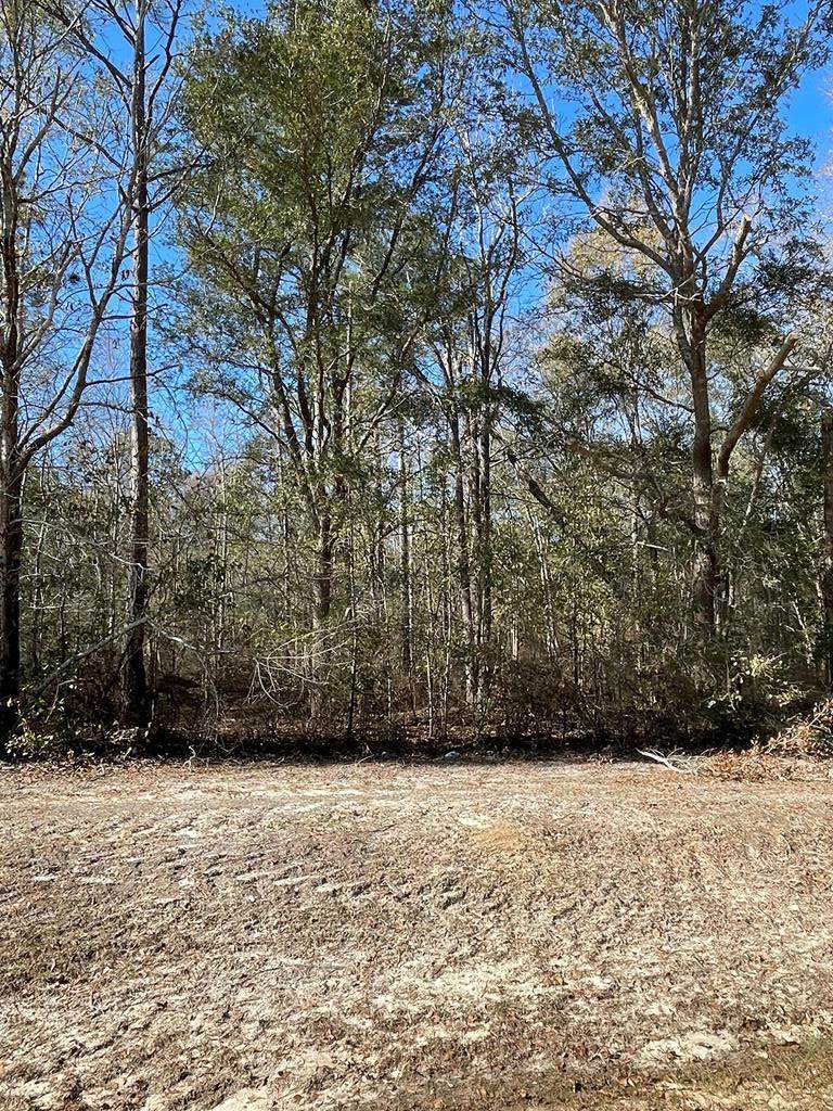 Lot 6 Middle Road S - Photo 1