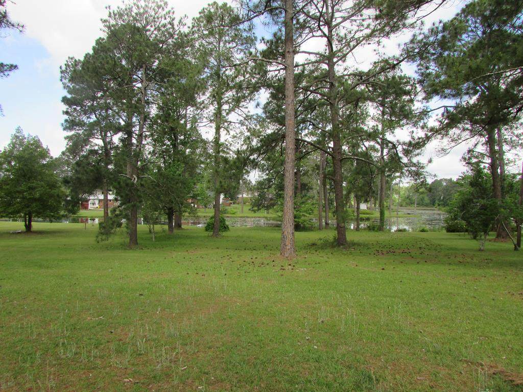 0 Lakewood Drive - Photo 1
