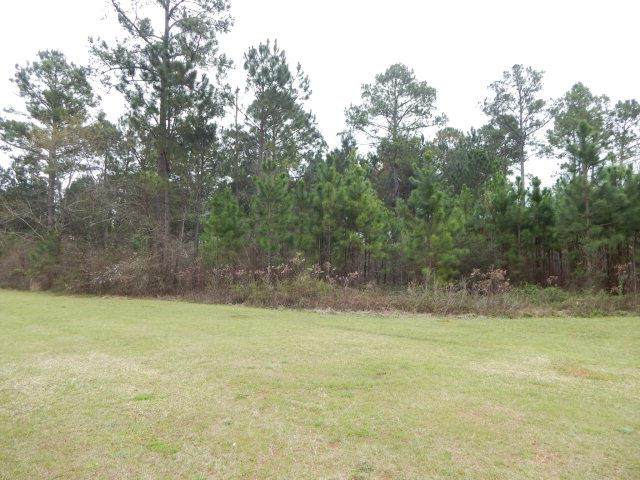 5111 Grandview Drive - Photo 1