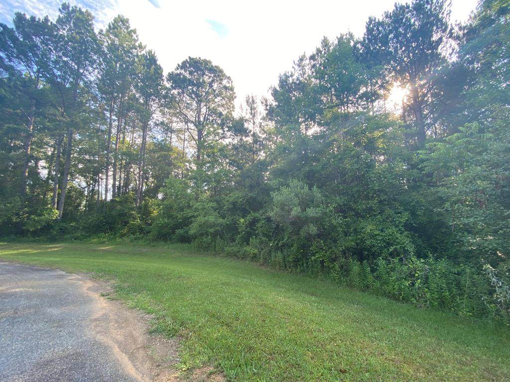 lot 24 Wiregrass Way - Photo 1