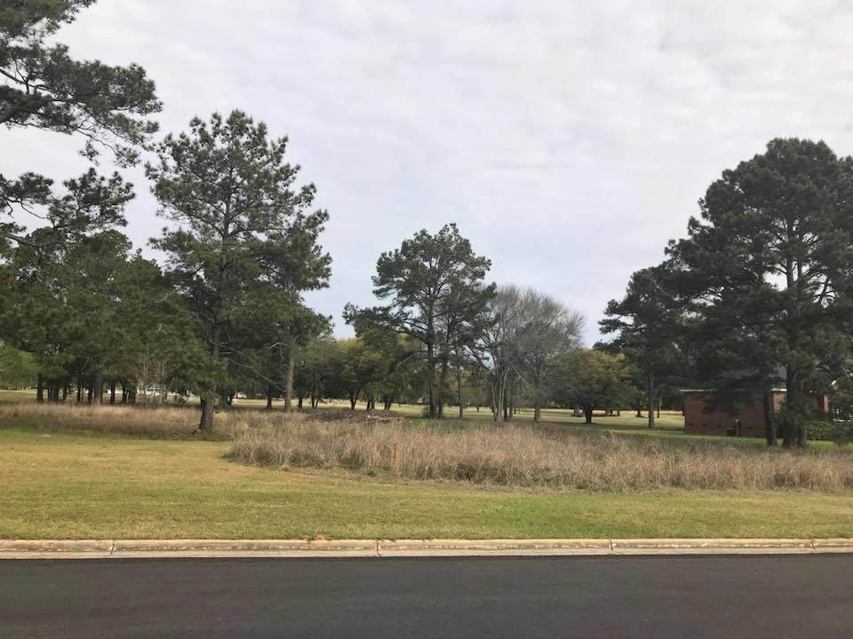 1003 River Pointe Drive - Photo 1