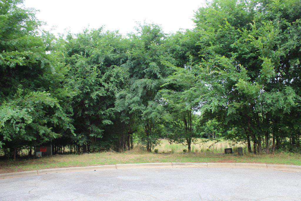 350 Osprey Ridge Court - Photo 1