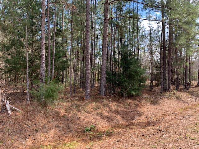 1010 Spring Hill Drive - Photo 1