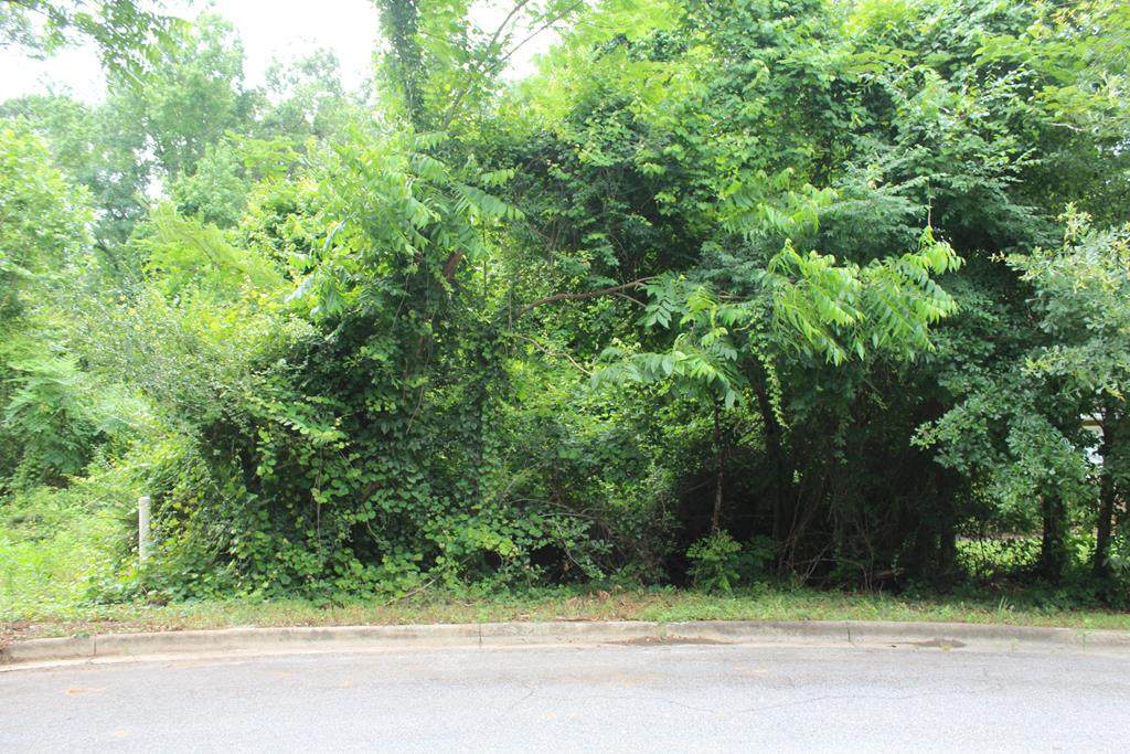 4404 La Costa Drive - Photo 1