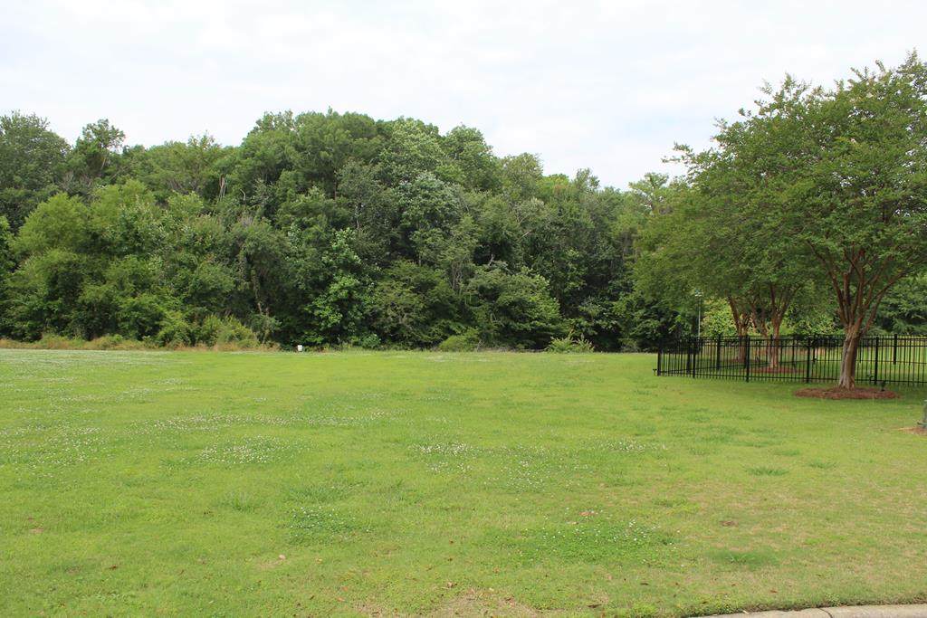 403 Blue Heron Court - Photo 1