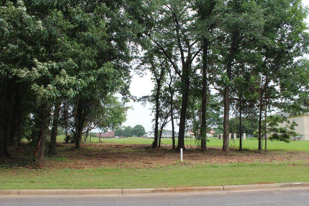 305 Ironhorse Court - Photo 1