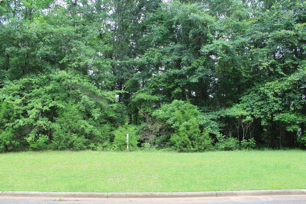 319 Ironhorse Court - Photo 1