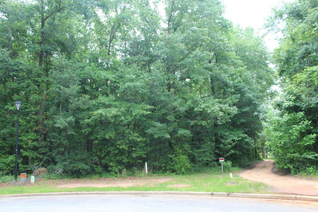 335 Ironhorse Court - Photo 1