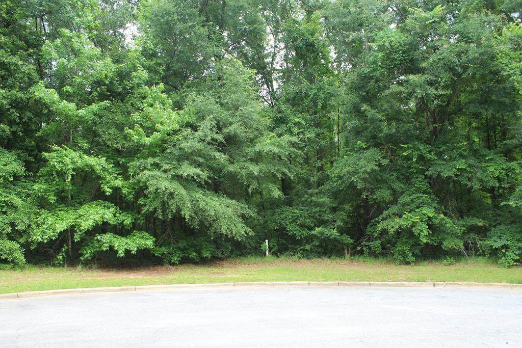 316 Ironhorse Court - Photo 1