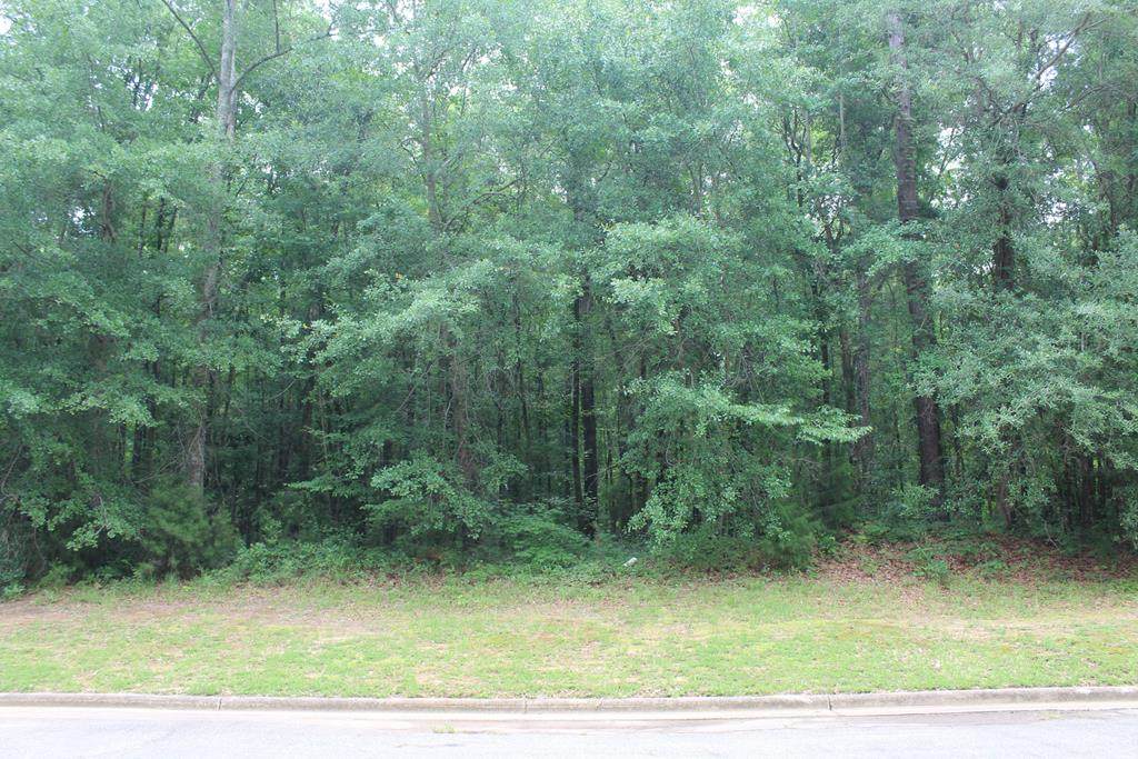 312 Ironhorse Court - Photo 1