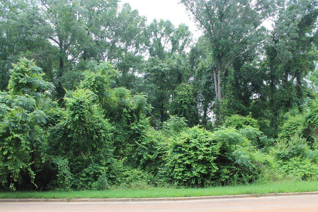 306 Ironhorse Court - Photo 1