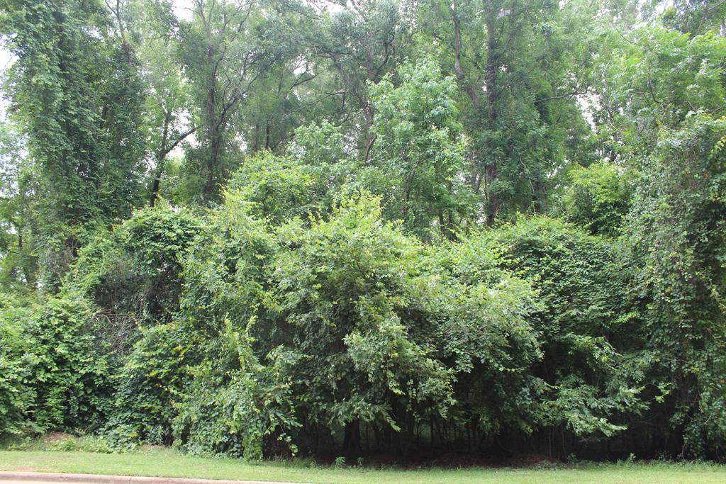 304 Ironhorse Court - Photo 1