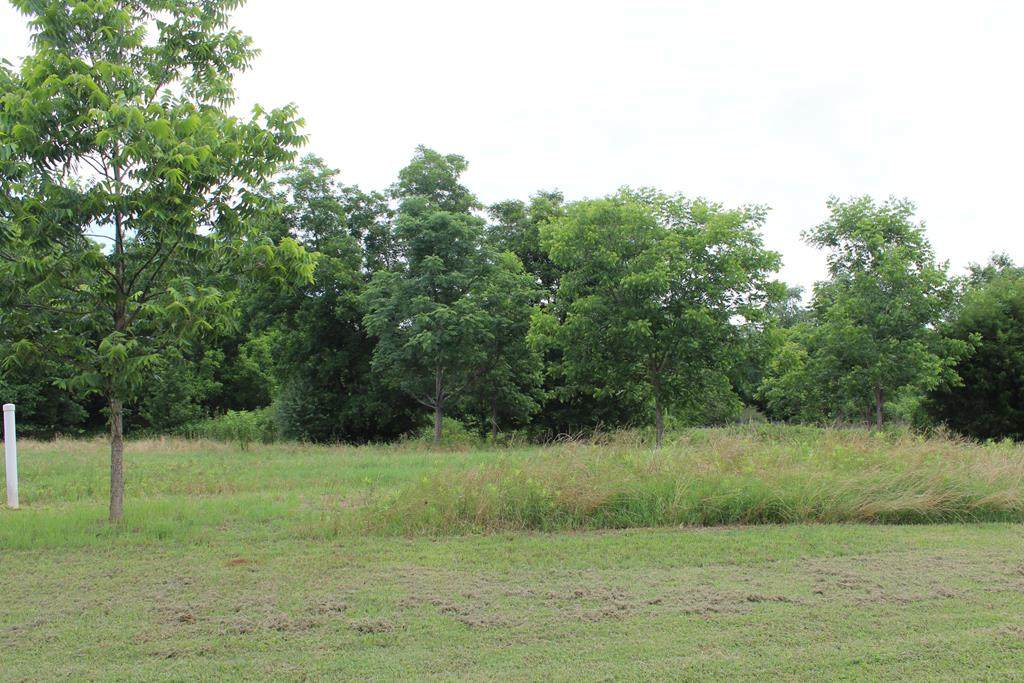 216 Wentworth Ln - Photo 1