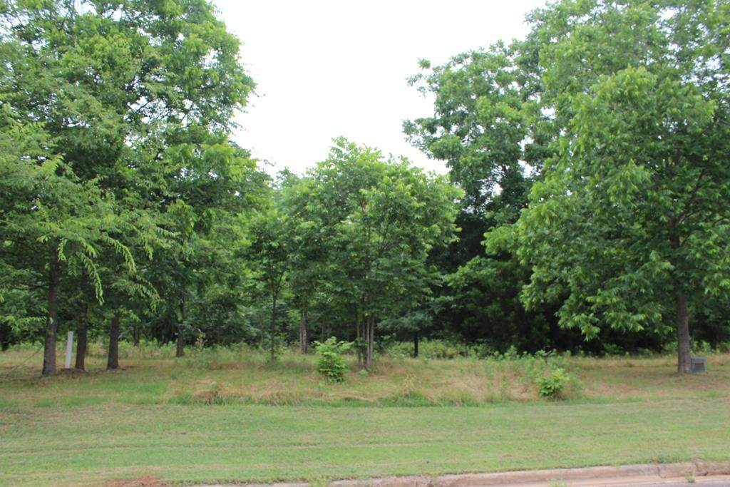 224 Wentworth Ln - Photo 1