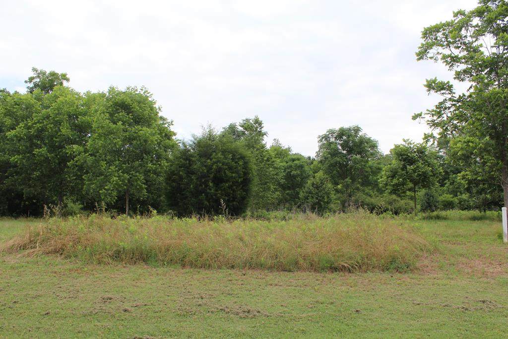 228 Wentworth Ln - Photo 1