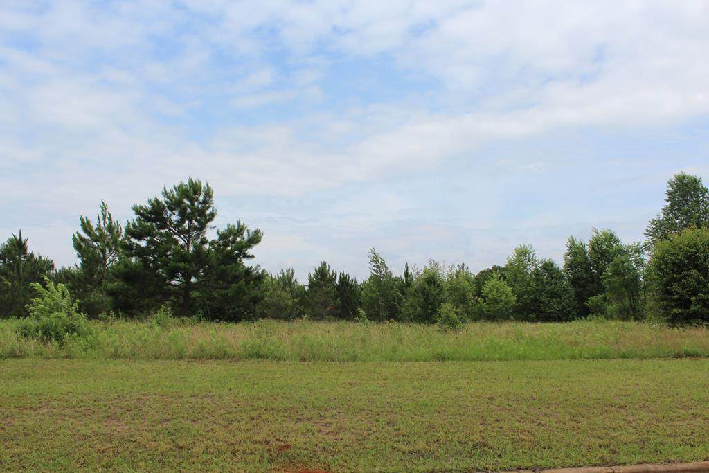 239 Wentworth Ln - Photo 1