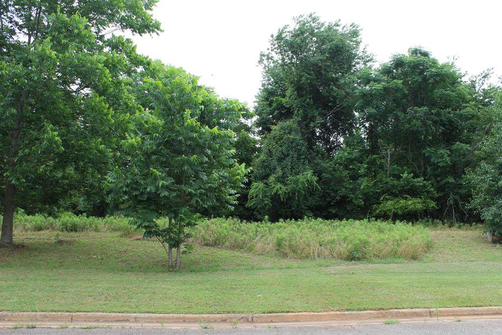 230 Wentworth Ln - Photo 1