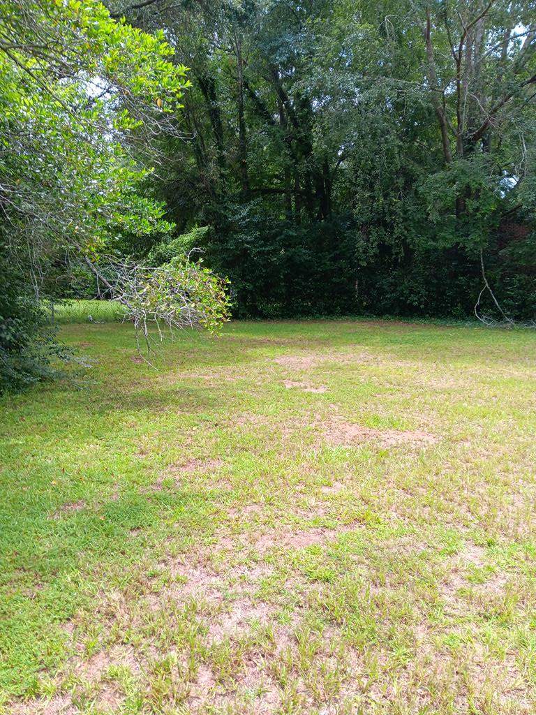 520 Baldwin Dr - Photo 1