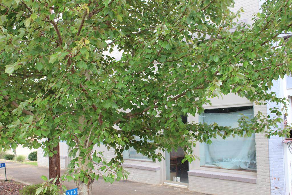 318/322 Broad Street - Photo 1