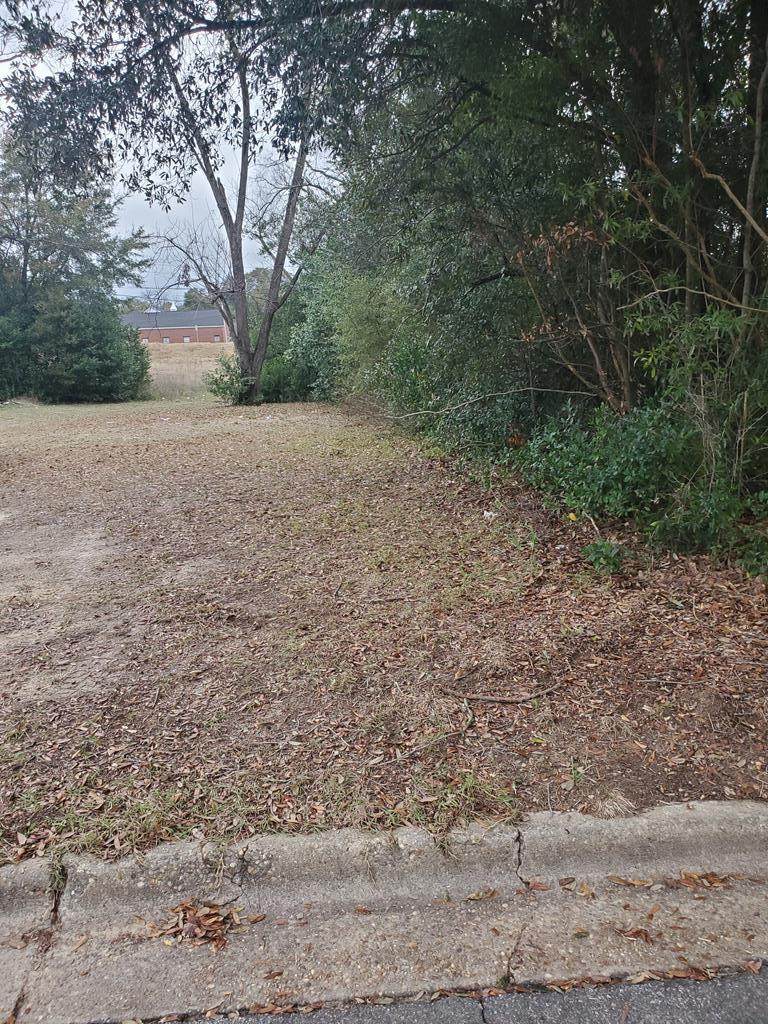 515 Cherry Avenue - Photo 1