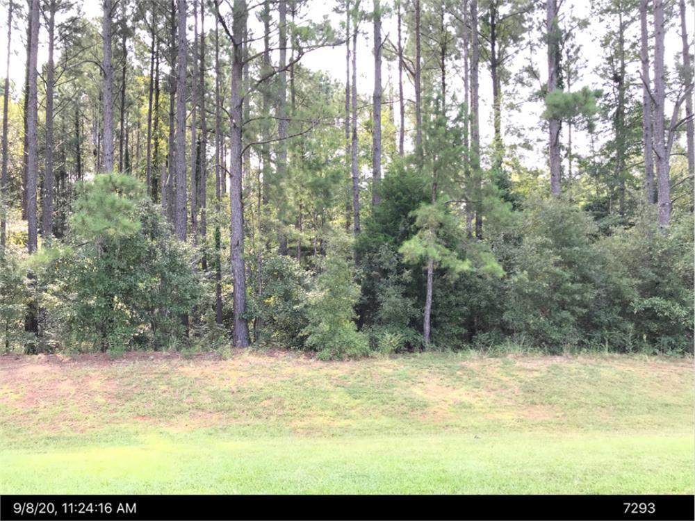 LOT 134 Aspen Drive - Photo 1