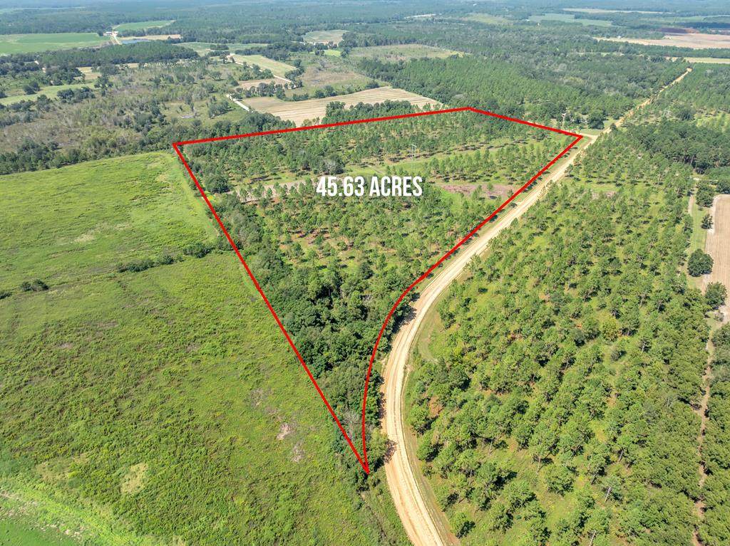 1 Dixie Road - Photo 1