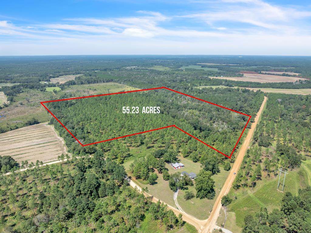 2 Dixie Road - Photo 1