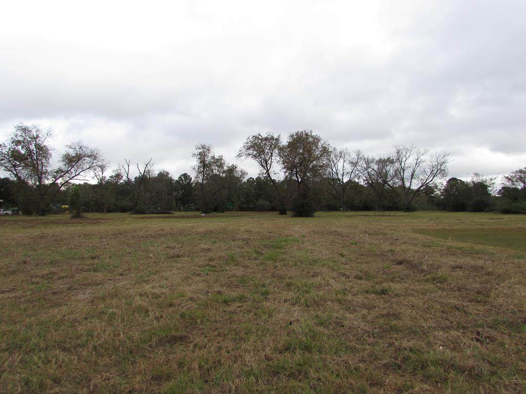 0000 Chancey Mill Road - Photo 1