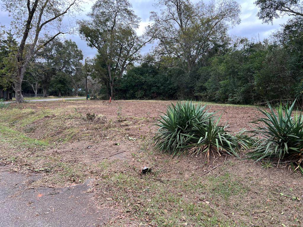 828 Cooper Street - Photo 1